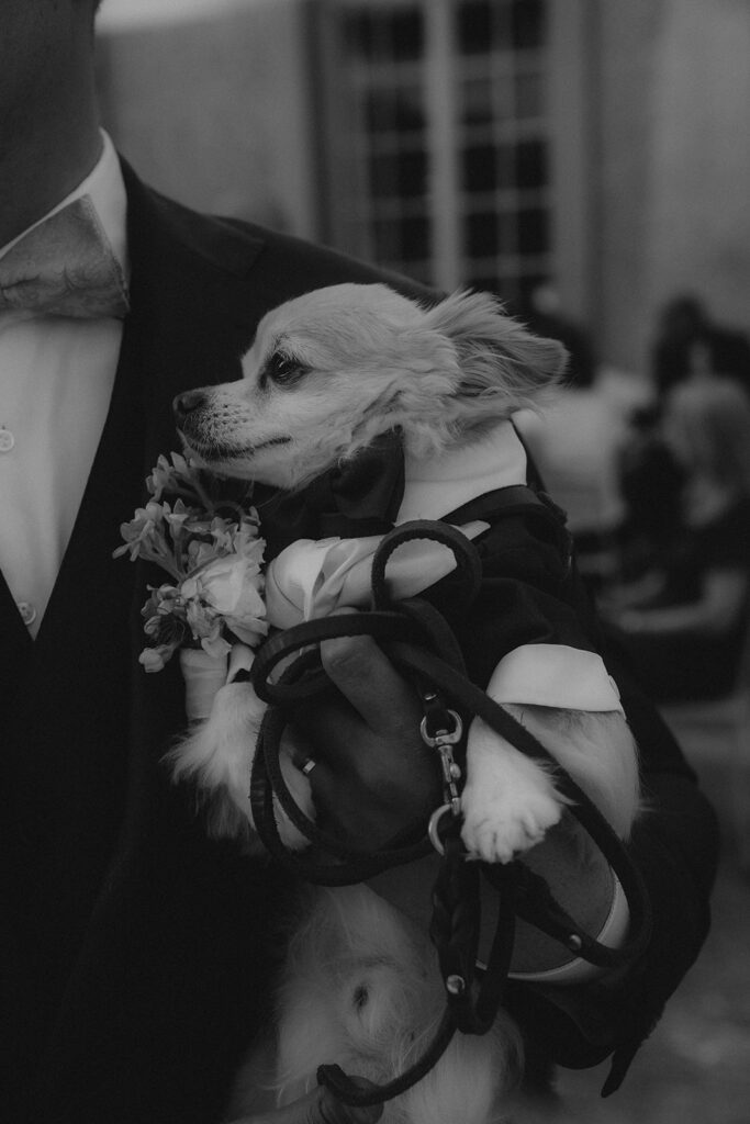 Hochzeit mit Hund